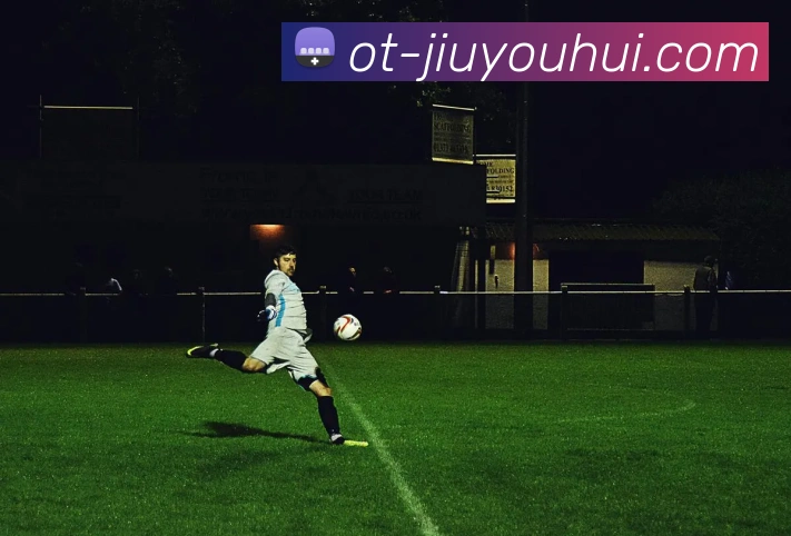 九游会J9官网发展历程